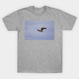 Osprey_VOA6827 T-Shirt